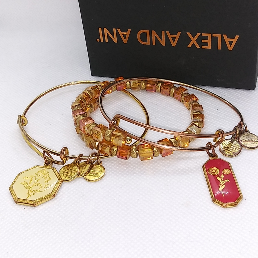 Alex & Ani Fortune-Wish-Medieval Set